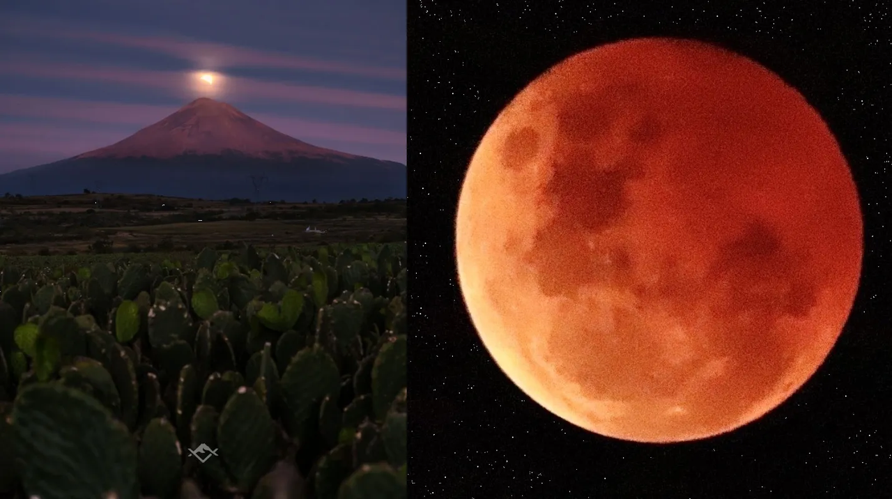 ¡Así se vivió el Eclipse lunar en todo el mundo!