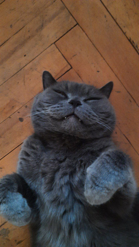 IMG_20220809_160703_658