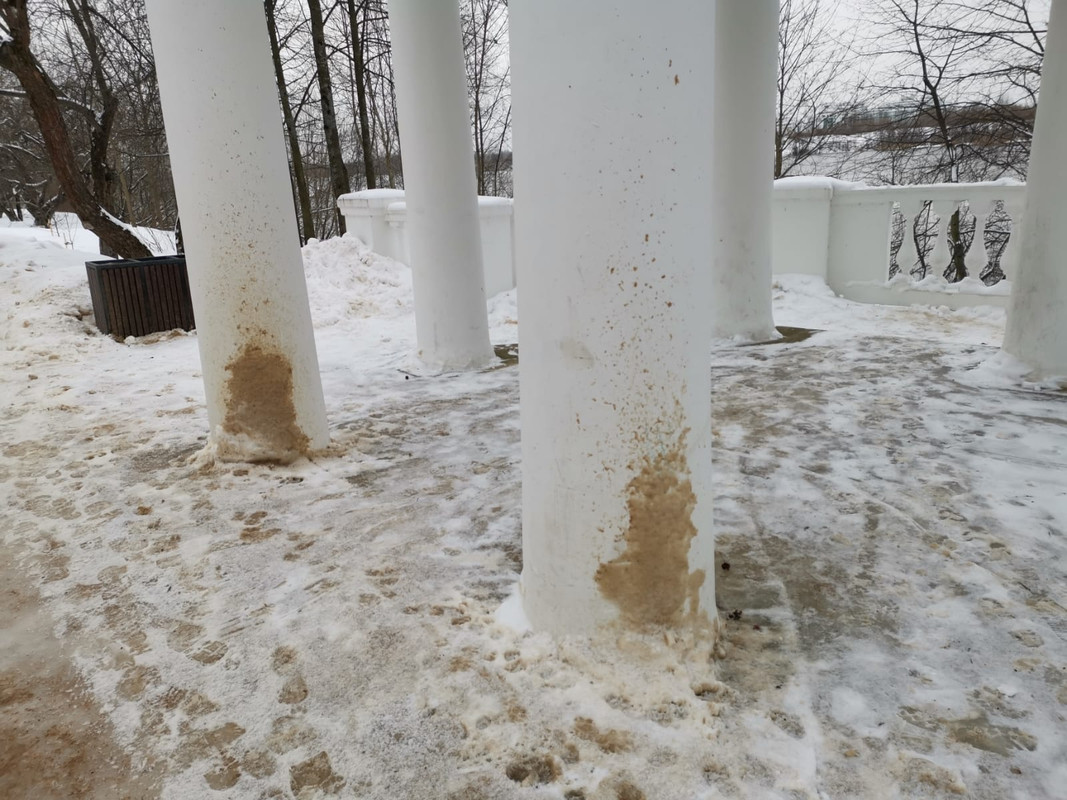 WhatsApp Image 2023-02-02 at 16.27.12 (1)