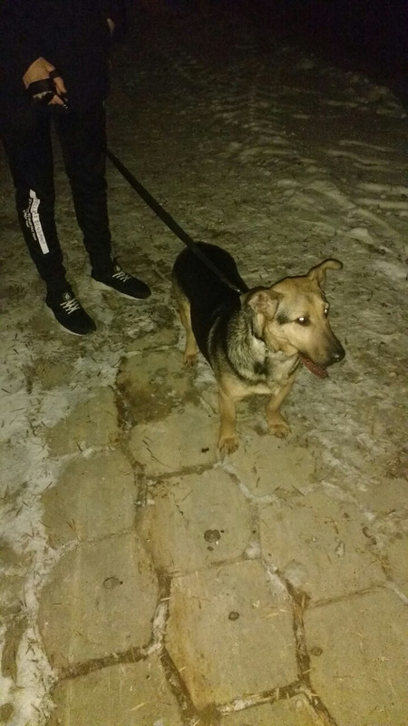 IMG-16fd38ae5f5eb77a874bd897b33648bf-V