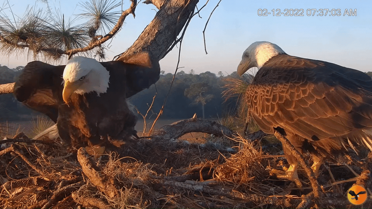 Webp.net-gifmaker (11)