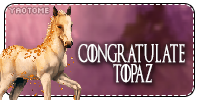chrissy-button-topaznew