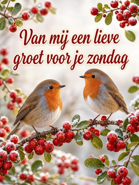 fijne-zondag-groetjes.jpg