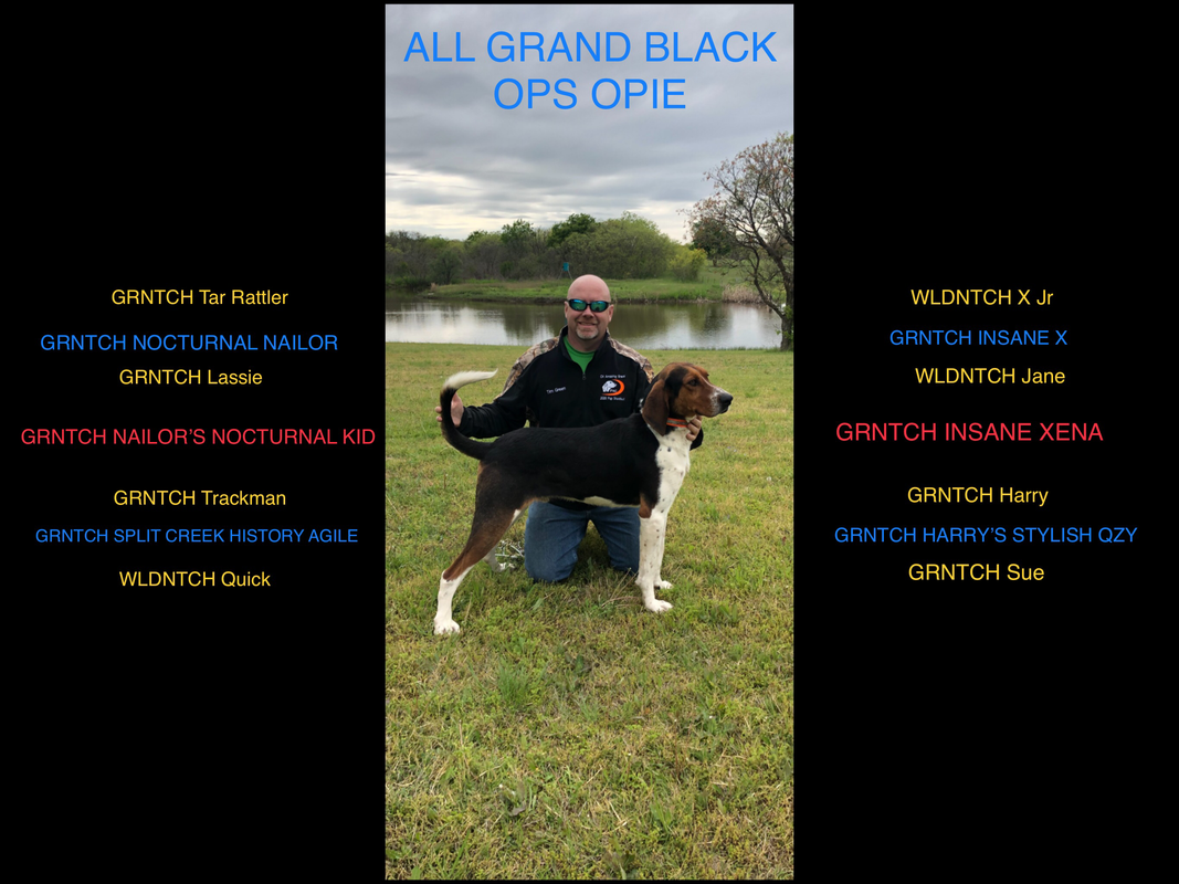 A5755E24-EC01-40BE-B2FB-669971CF6C3F