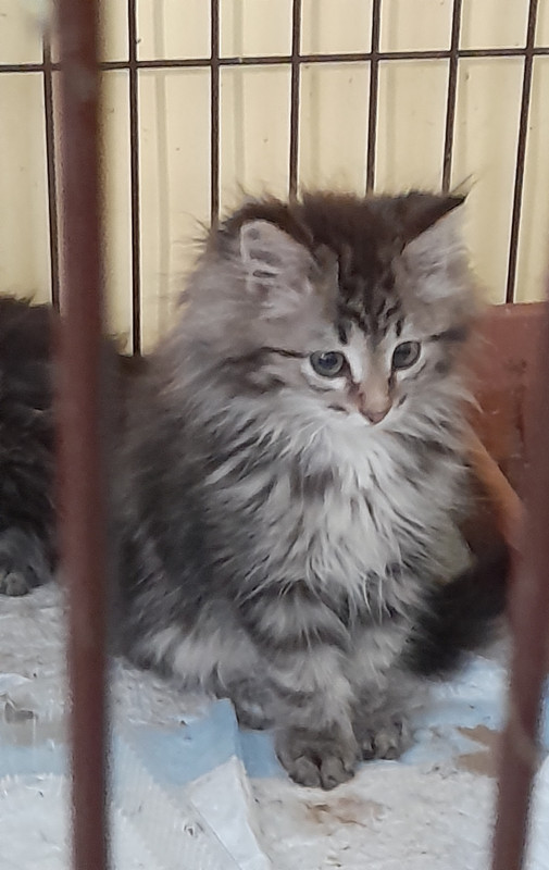 IMG_20231118_110752_312