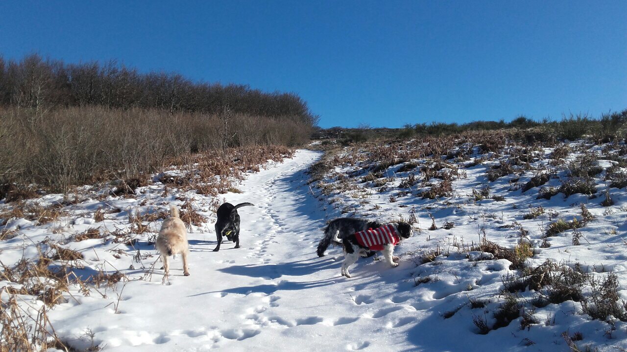 DEC42B65-92AC-4D50-A655-E8DB0E0885C2