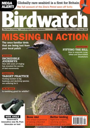 Birdwatch UK - September 2020 Birdwatch UK - September 2020
