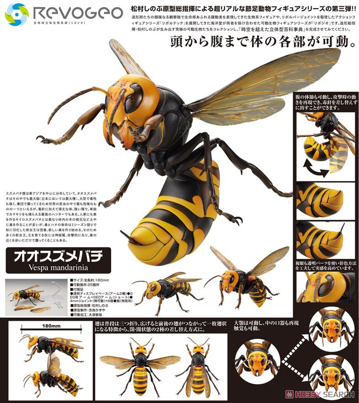 The 2020 STS Land Invertebrate Figure of the Year Papo Edible snail and Kaiyodo Asian giant hornet 10705396a17