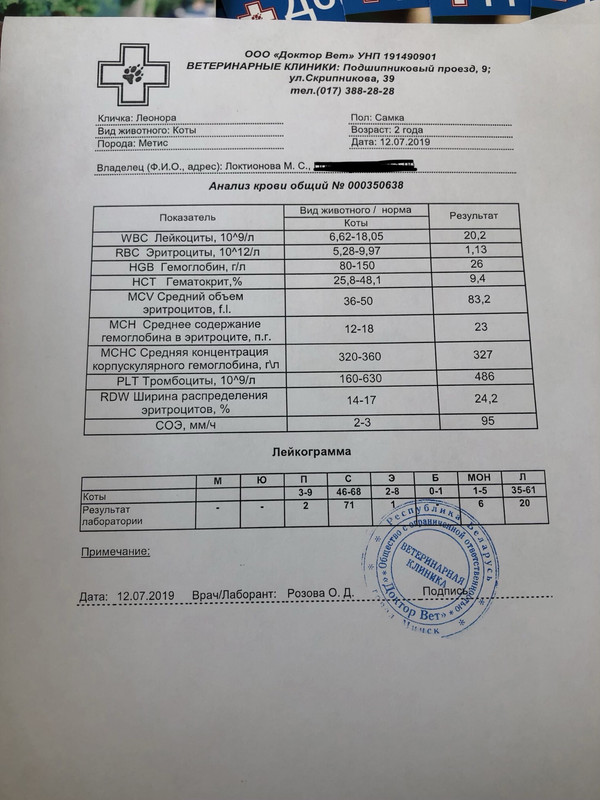 17DEC48C-DBA2-48AF-AFD1-9F51FE248326