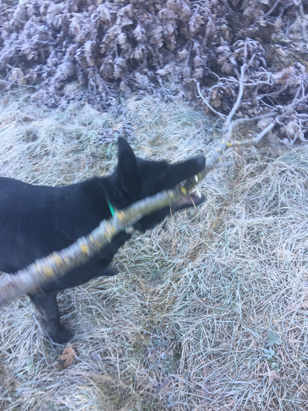 9F08DB45-234F-4D27-8954-B12F7C95AF0F