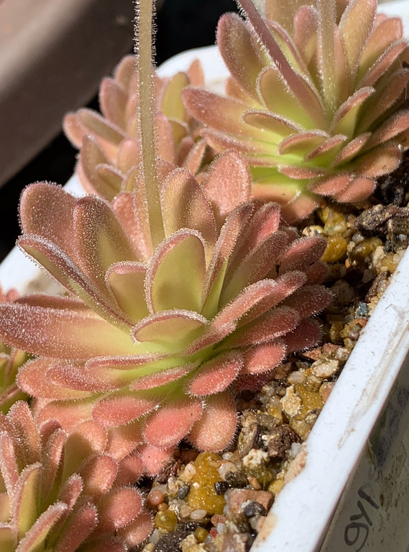 E1873523-6C91-4D6C-94F0-E993B3DE3FC1