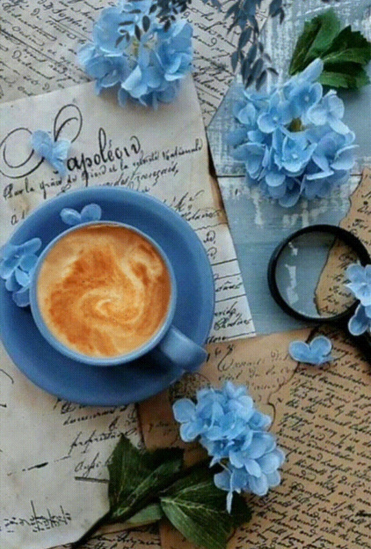 Screenshot_20221213-210551_Chrome