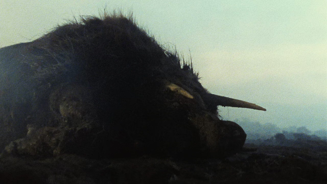 title00_new.mkv_snapshot_01.00.23_[2017.06.04_06