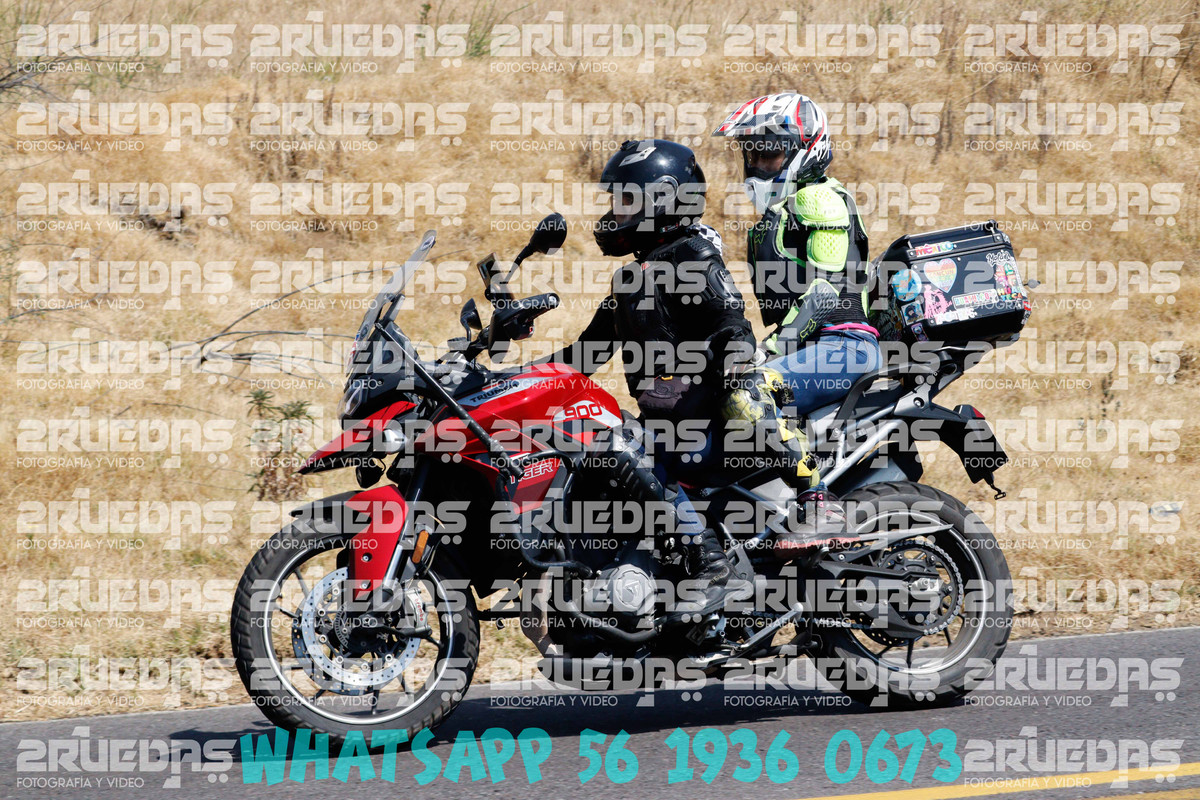 MG 0570 — Postimages