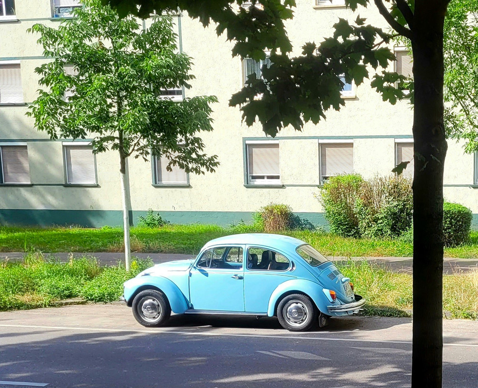 vws200 (5)