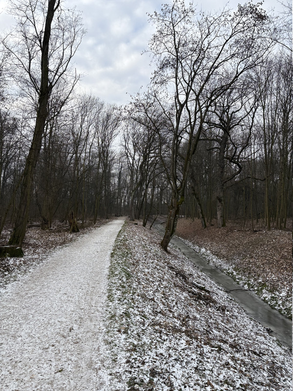 [Obrazek: IMG-1264.jpg]
