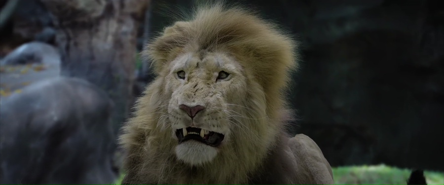 Grrr.. 2024 WebRip [Hindi + Tamil + Telugu + Malayalam + Kannada] 480p, 720p, 1080p ESub Screenshot