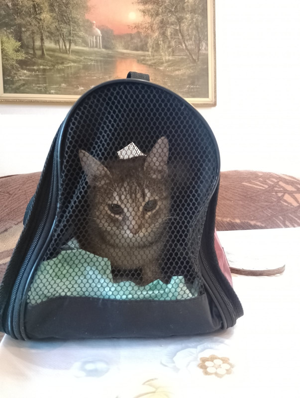 изображение_viber_2024-02-28_11-08-19-019