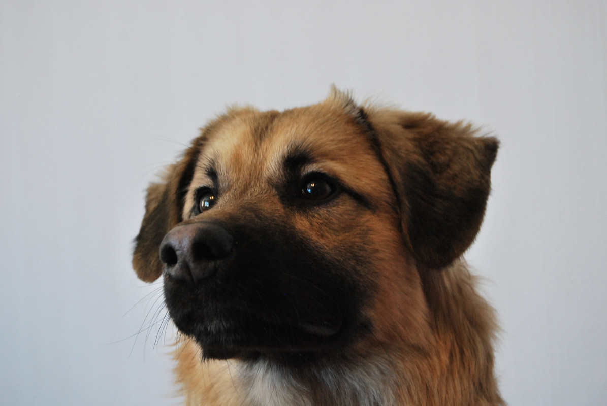 A6D9A4DD-DFAE-4E1B-BBE6-45336C0B458E