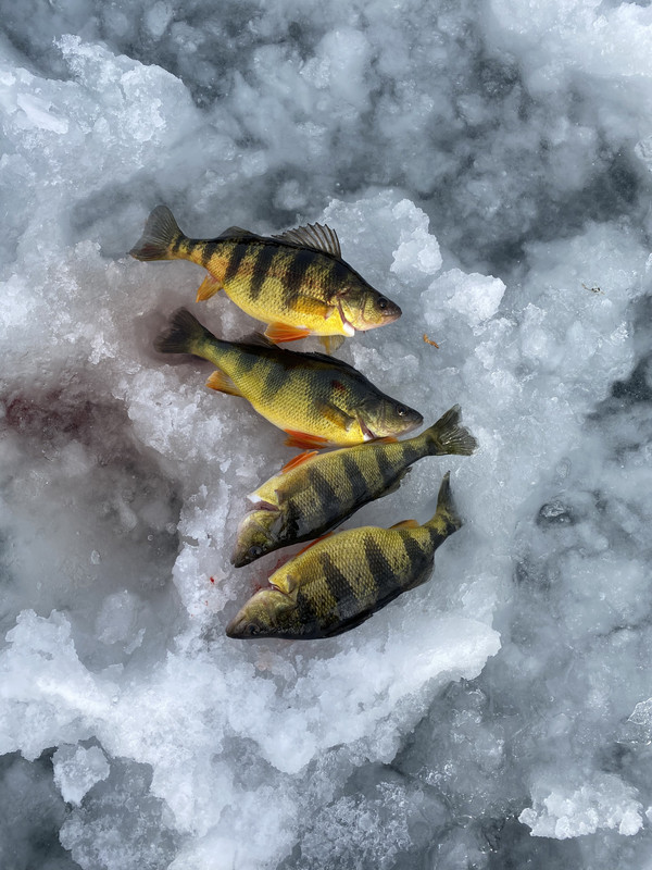 8F29BDD4-F060-4A74-89AD-8AD1A73773EA