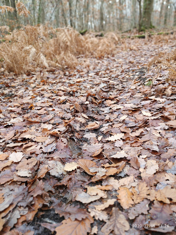 WhatsApp Image 2020-12-15 at 15.07.54