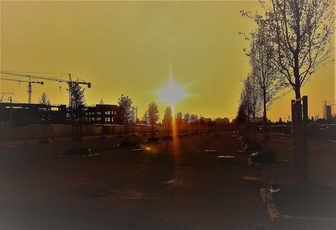 20190602_192914-1 (4)