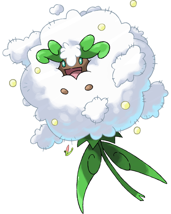 zae6-MR8-png-9b8a568092f0782cce6eef6884c