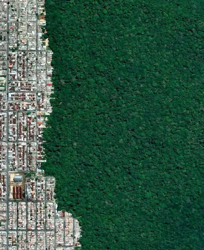 manaus
