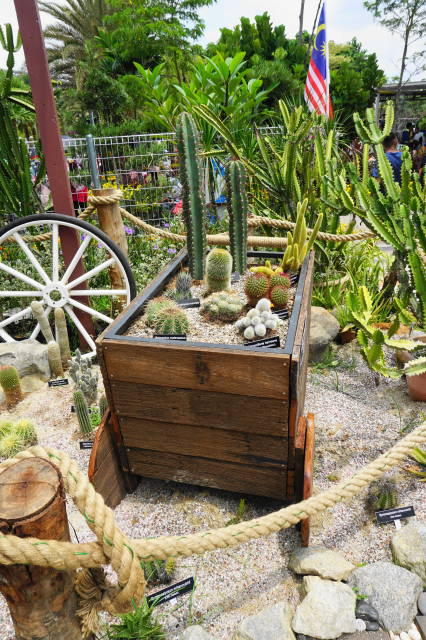 Taman koleksi Kaktus, Sukulen dan Bromeliad