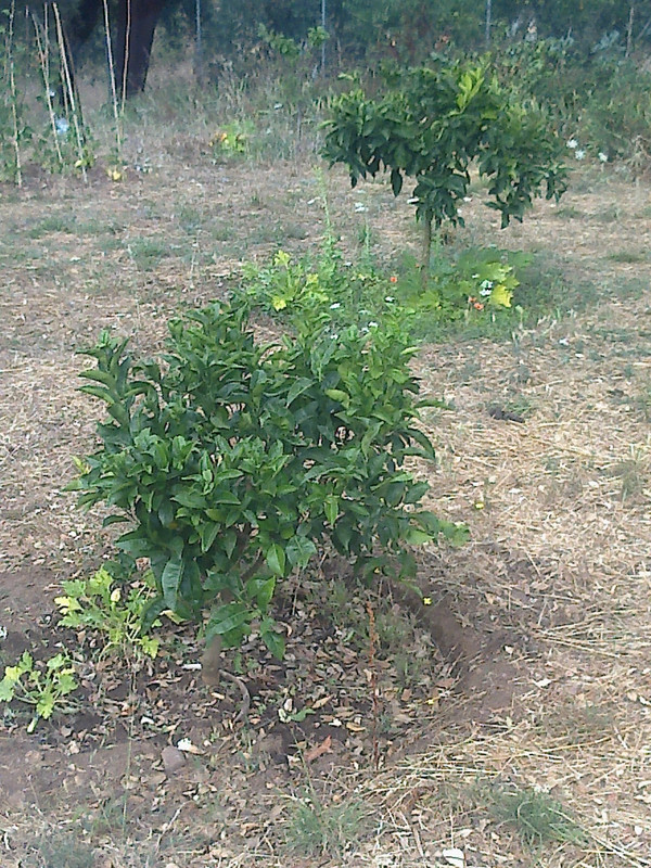 foto0139