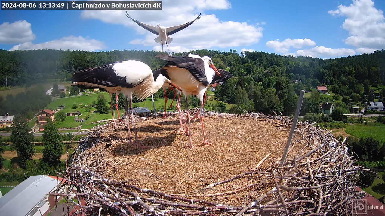 Tiešraidē no uzņēmuma KARA stārķa skursteņa Bohuslavicē pie Trutnovas 15-52-57 screenshot (1)