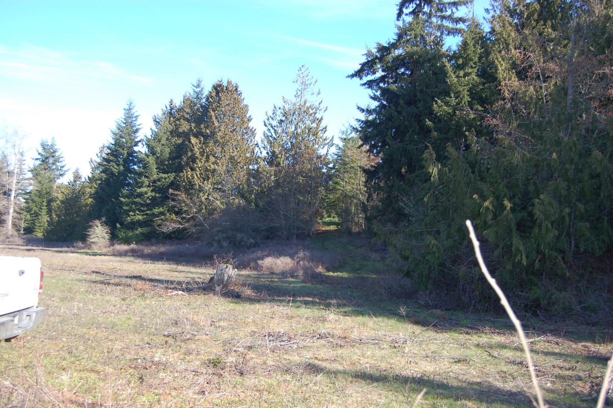 [Image: DSC-0018.jpg]