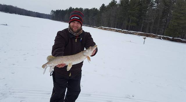 northernpike