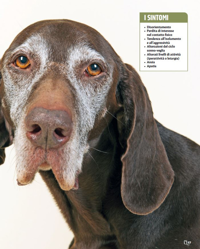 QuattroZampe Lug 2024 (2)