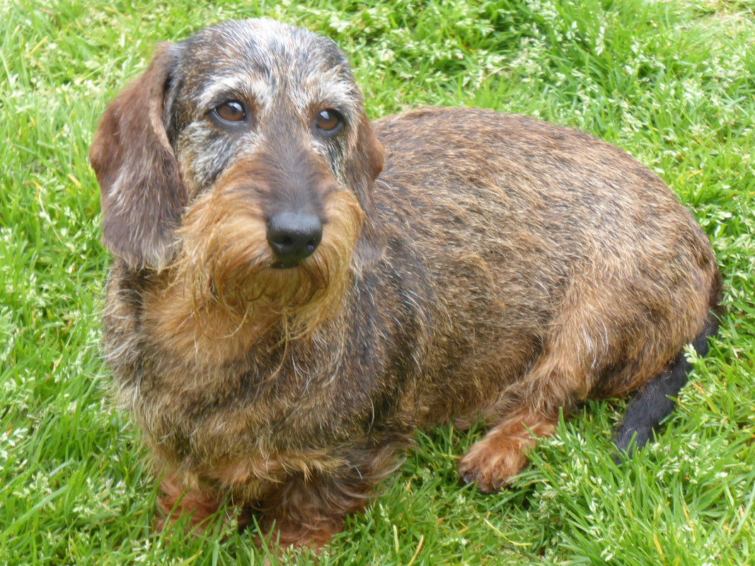 [Image: P1020631.jpg]