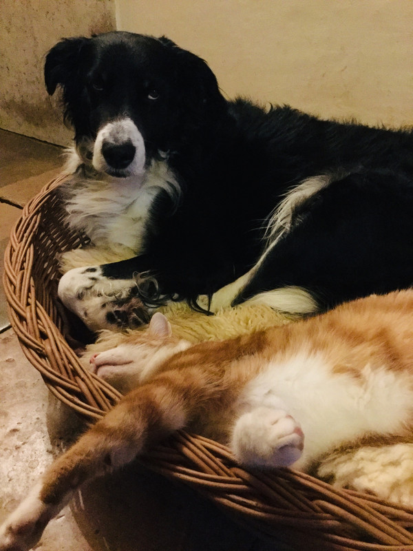 10B84A09-E945-4E73-A033-13A63A684B99