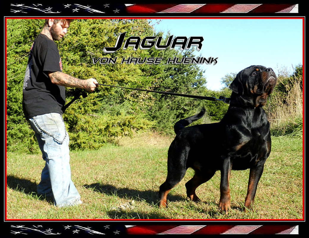 10FAC0EA-11D6-46A9-92B7-BE54A2979026