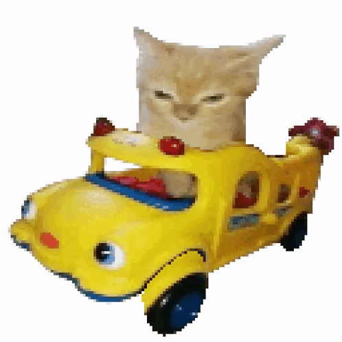 kitty_cat.gif
