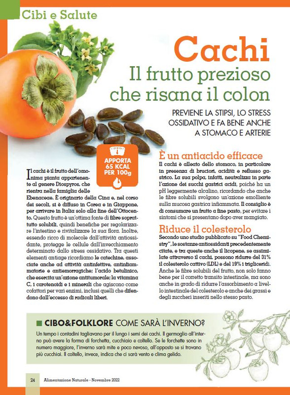 Alim Nat Nov 2022 (3)