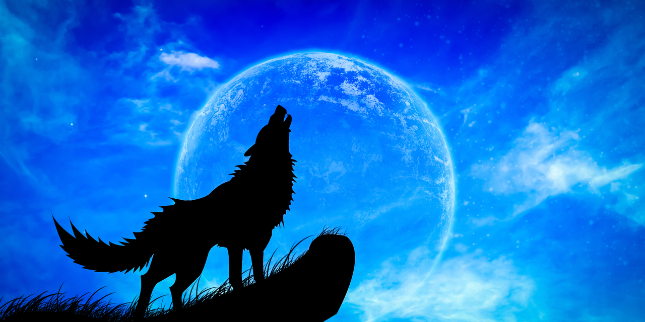 Universos Mundo Letroso