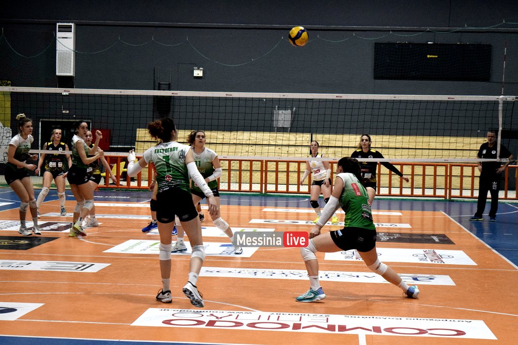 DSC-0398
