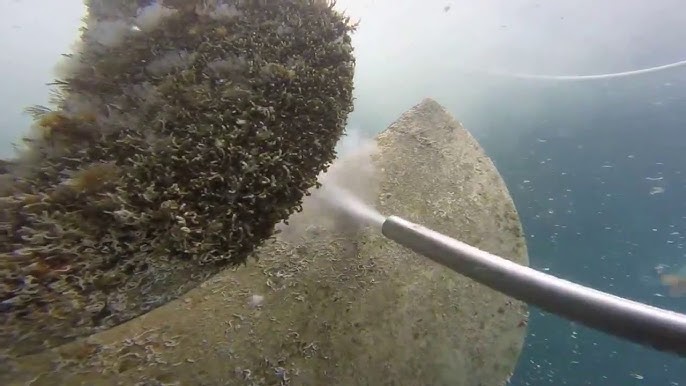 Marine vessel cleaning