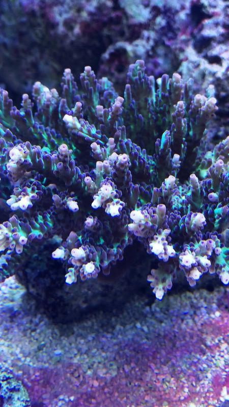 16F4FAF2-360C-4511-B8F1-B39A25985D87