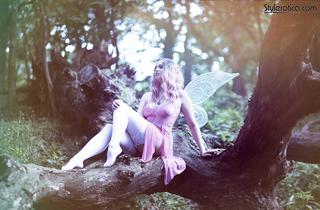 phoca_thumb_l_full_moonlit_00_5F48CFE082