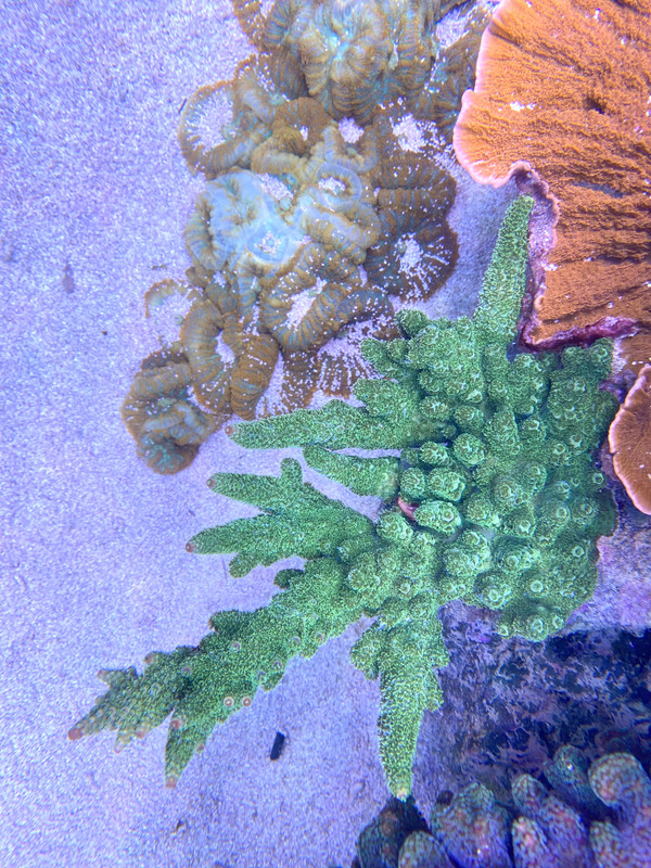 F16B43BA-EB21-43DF-8E3C-D3B28F6F14B0