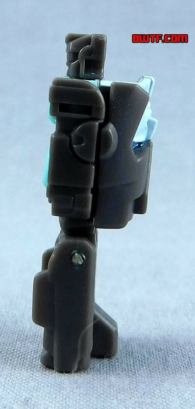 15823656_1255445417854729_6398484763943682430_n