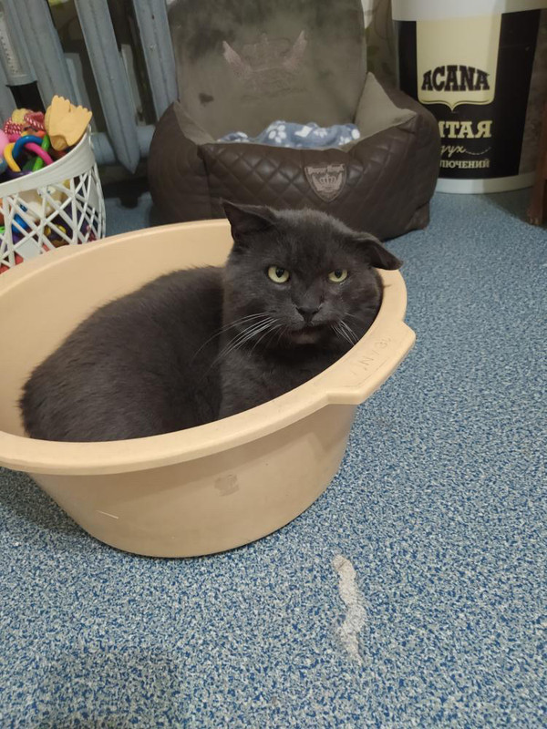 23EEFDFE-7E5F-4B20-9BDB-F955593C5869