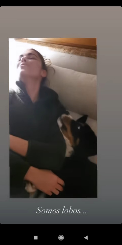 Screenshot_2021-01-02-22-30-01-323_com.instagram.android