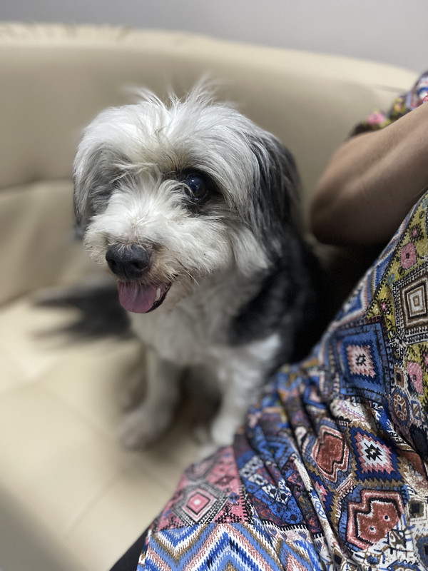 A501A0E8-3E83-43F1-BDFF-BCE02672D3A3