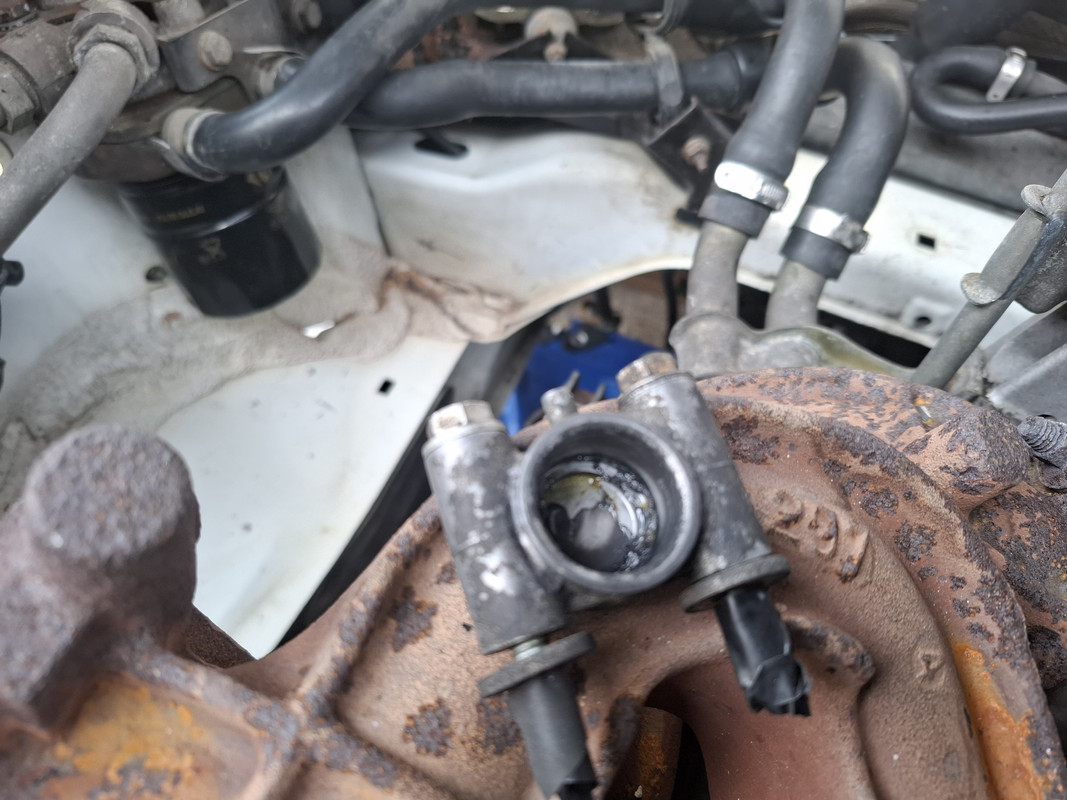 20250610_RENAULT_25 (2)